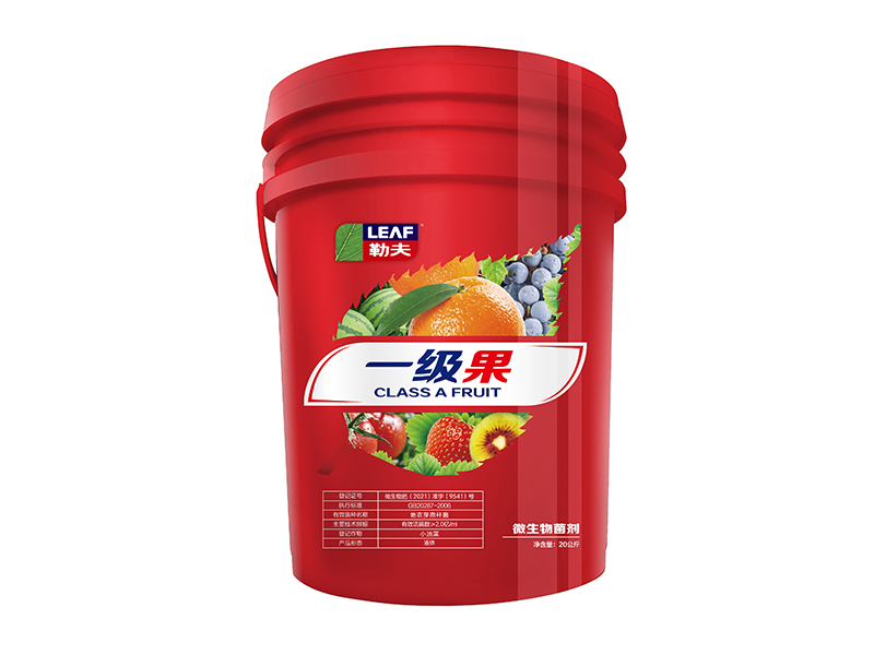 红桶肥——一级果